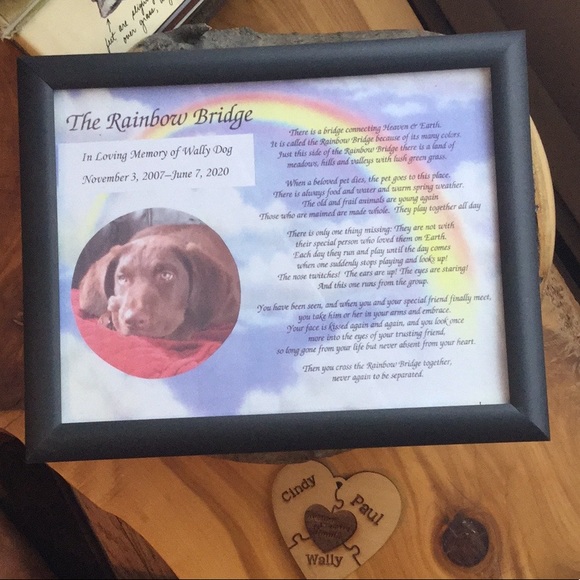 โ๏ธ CHADWICKS PLUNGING V-NECK SWEATER vintage BLACKISHGray. Sz M/Lg - Picture 14 of 16